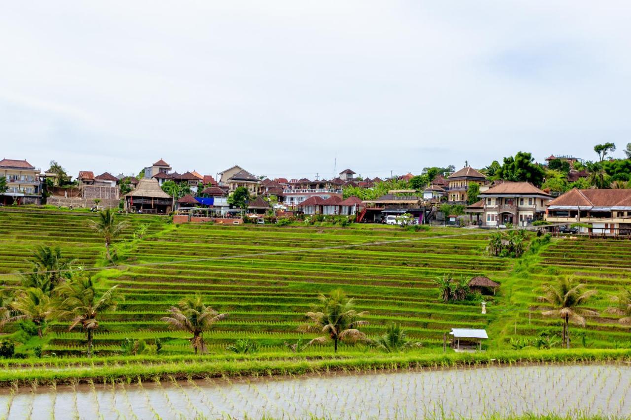 Bhuana Agung Villa And Restaurant Jatiluwih Exterior foto