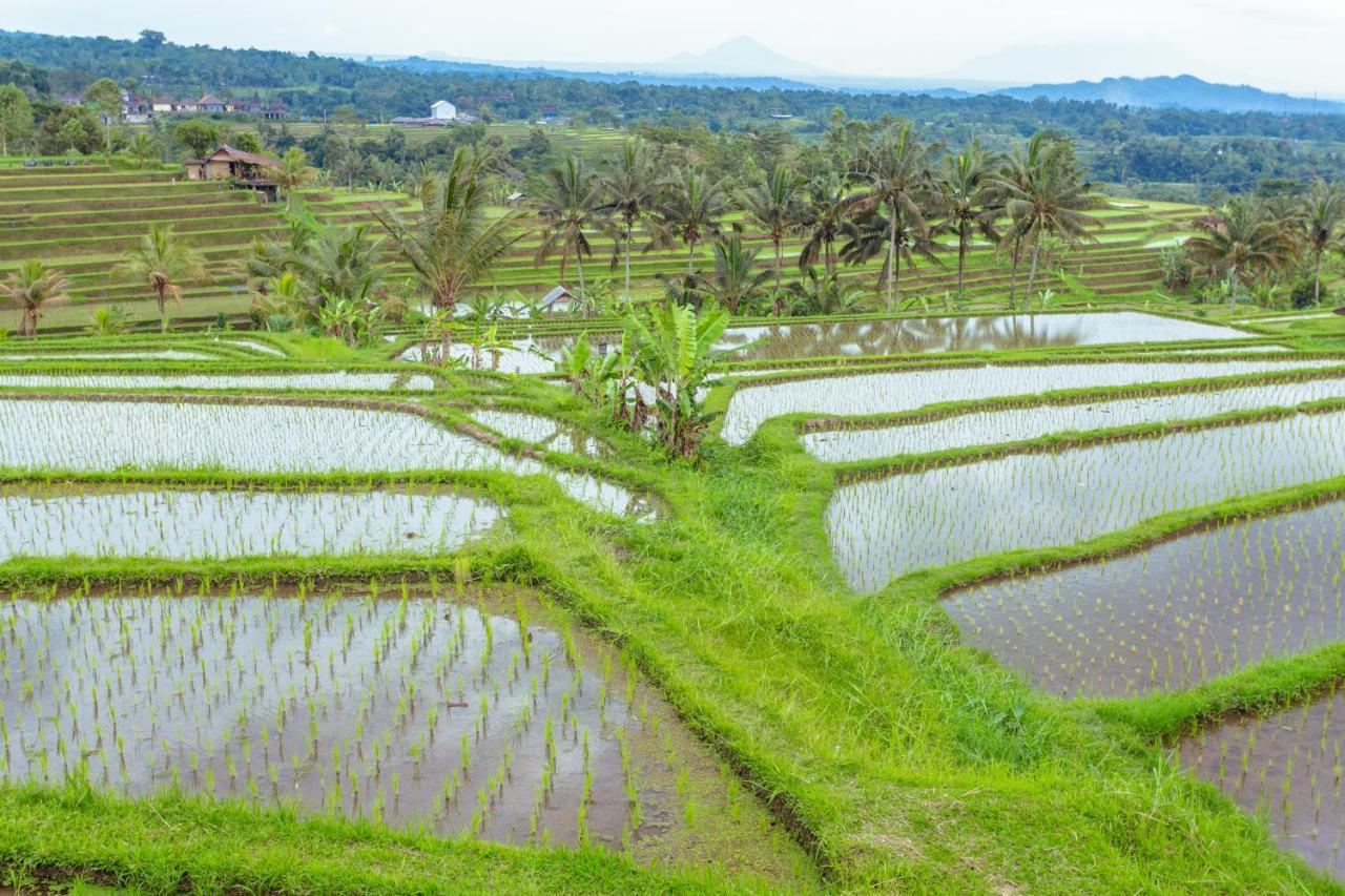 Bhuana Agung Villa And Restaurant Jatiluwih Exterior foto