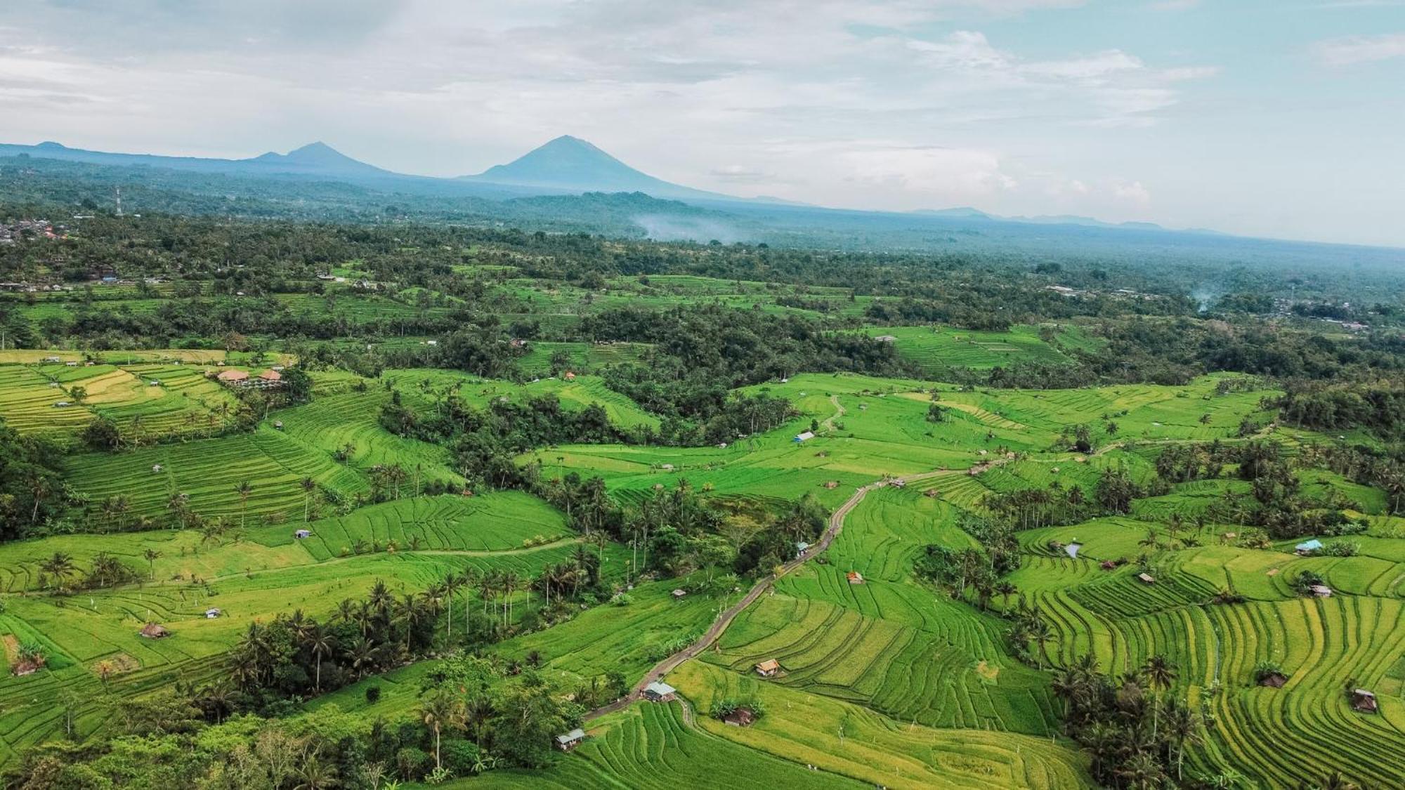 Bhuana Agung Villa And Restaurant Jatiluwih Exterior foto